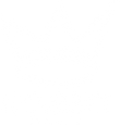 KYNGSYX ENSEMBLE